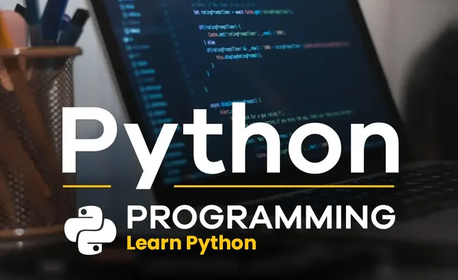 python training in usa