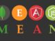 online mean stack training