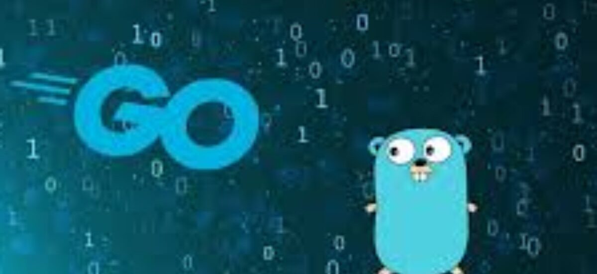 online Go Programming Training