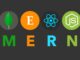 online Mern Stack Training